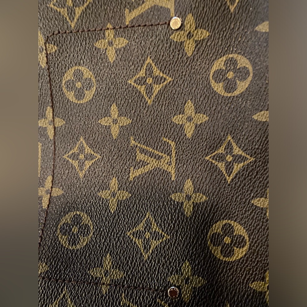 Louis Vuitton Favorite Bag Brown Shoulder MM - Picture 8 of 13